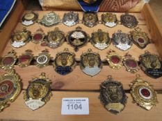 Quantity of ""Royal Association of the Buffalo"" badges, garters and display shelves.