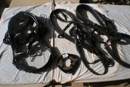 Complete set of single leather harness by Ideal