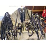 Set of brown leather TANDEM harness