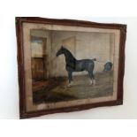 Framed watercolour by H.W.Standing depicting a black horse (Melton) in a stable ,