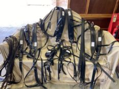 Complete set of full size PAIR harness by Tedman