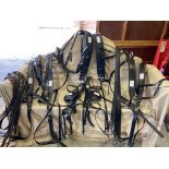 Complete set of full size PAIR harness by Tedman