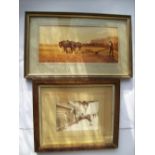 Framed picture of a pair of Shires by Robin Wheeldon