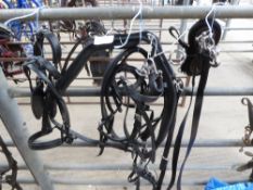 Set of Zilco Classic full size single harness