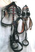 Set of cob size trade harness with red trim, horseshoe buckles and a 21ins collar