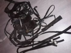 Set of webbing breastcollar harness