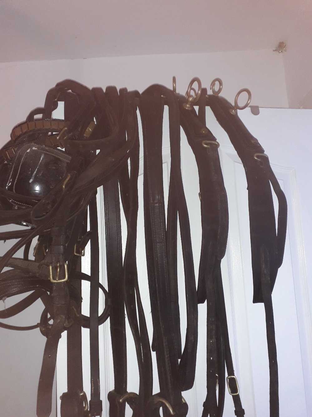 Set of working PAIR harness