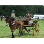 RALLI CAR built by Morris of Norwich circa 1890’s to suit 13 to 13.2hh.