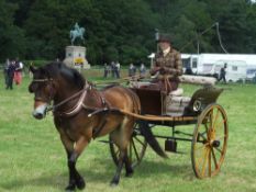 RALLI CAR built by Morris of Norwich circa 1890’s to suit 13 to 13.2hh.