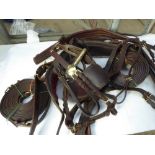 Set of pony harness