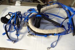 Set of cob harness