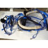 Set of cob harness