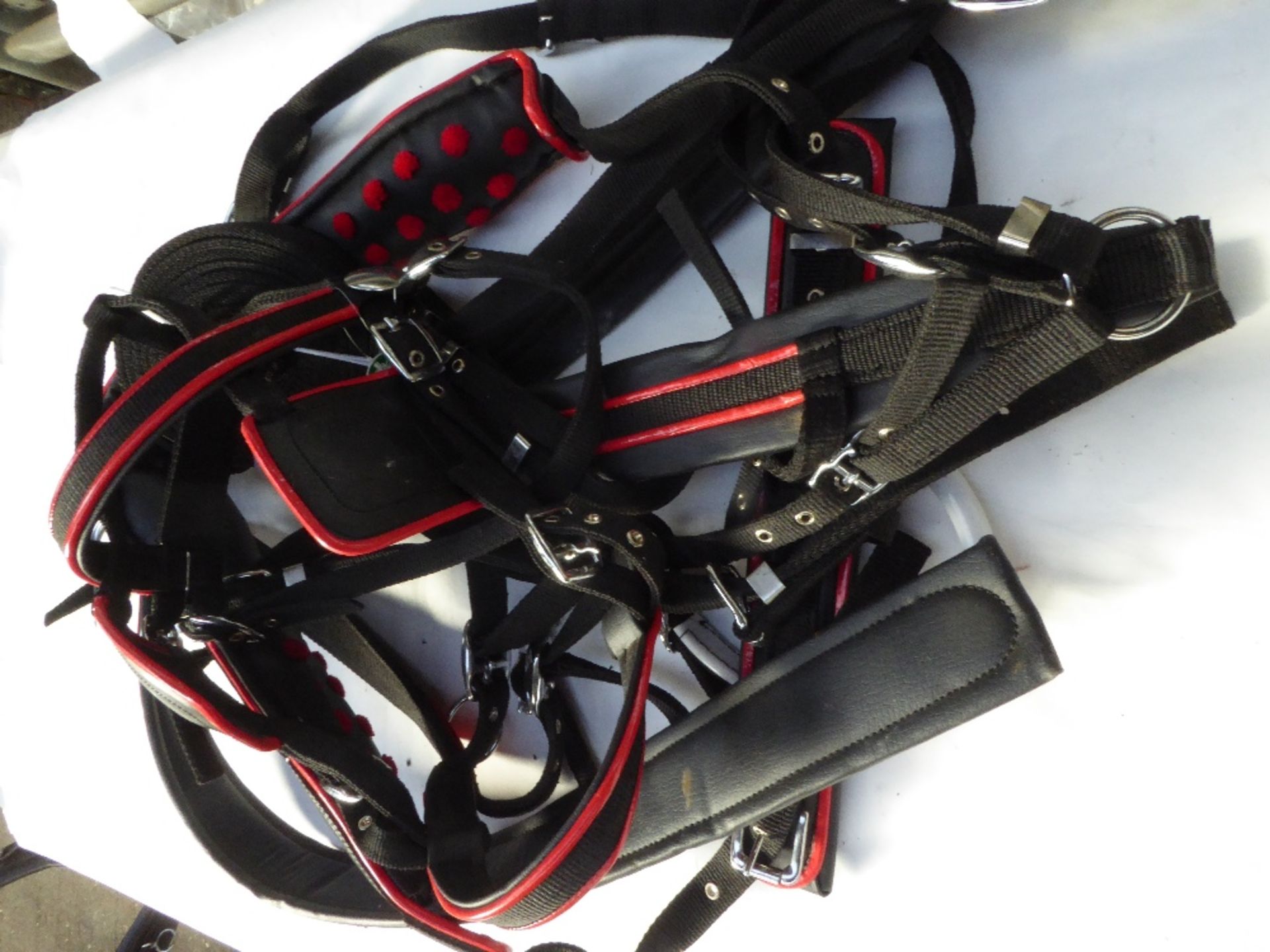 Set of harness - Image 2 of 2