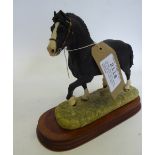 Border Fine Arts model of a Welsh Cob stallion signed by Anne Wall, 921/1250