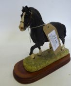 Border Fine Arts model of a Welsh Cob stallion signed by Anne Wall, 921/1250