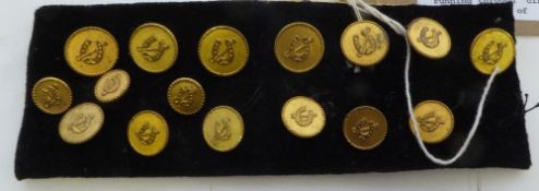 Presentation brass buttons with a whip running through, circa 1920 by Stones of Romford (view in