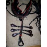 Set of black patent/red trade harness with collar