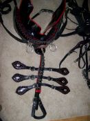 Set of black patent/red trade harness with collar