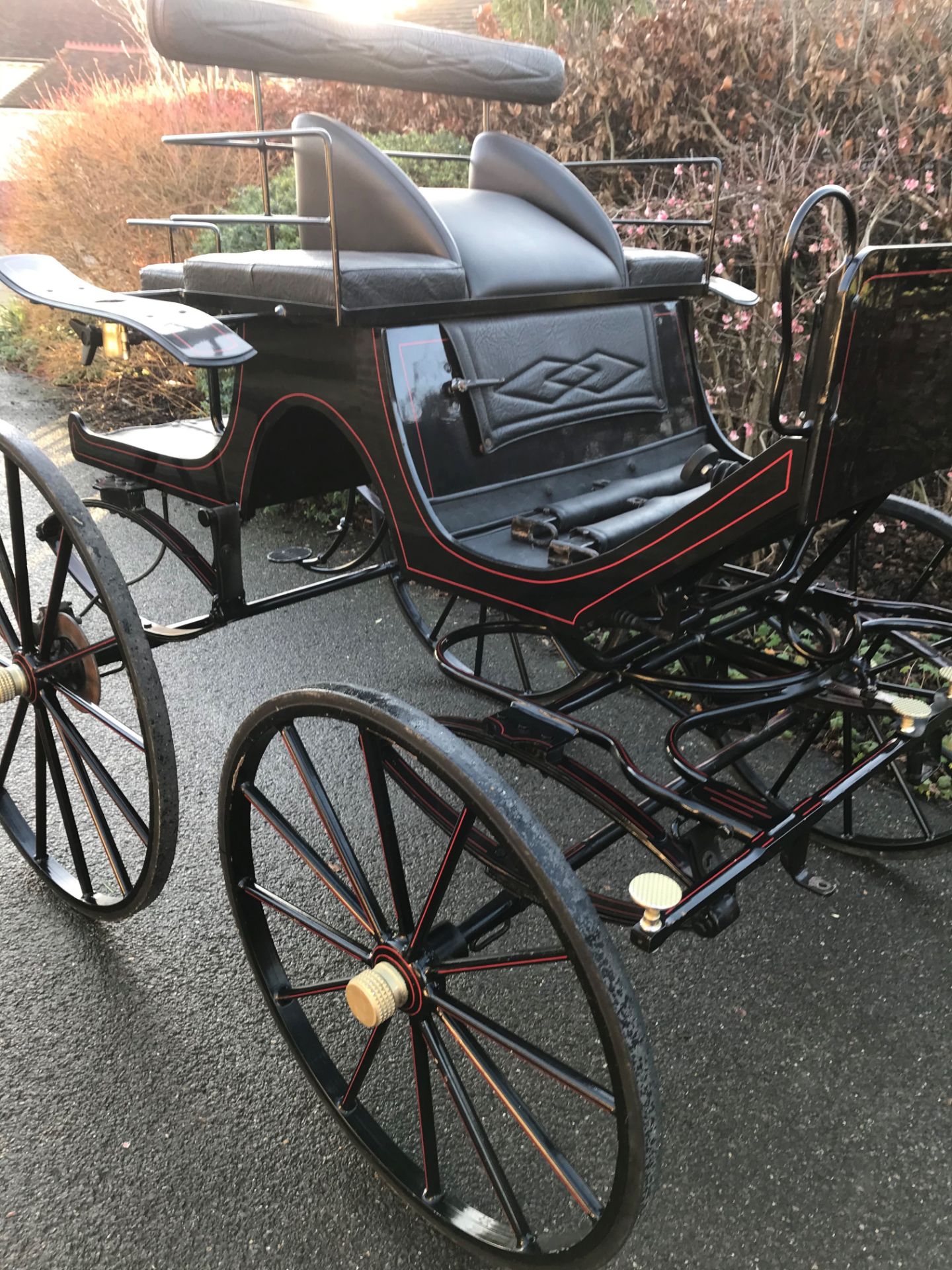 SPIDER PHAETON build in Poland to suit 15 to 16.2hh pair. Painted navy blue with red lining, and