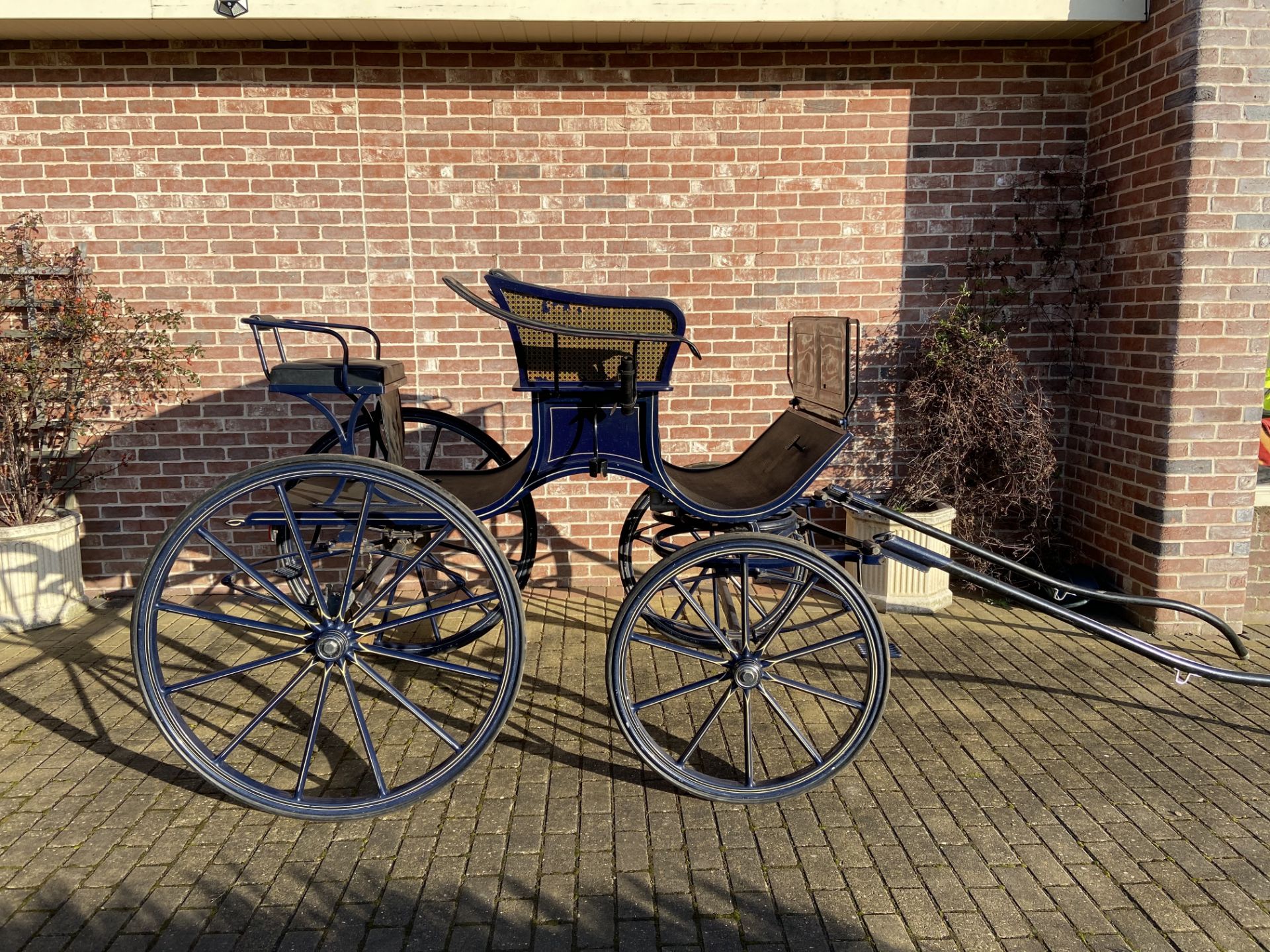 SPIDER PHAETON to suit 15 to 16hh. Painted navy blue lined with cream and gold, and