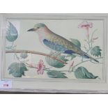 2 framed and glazed prints of exotic birds. Estimate £20-40.
