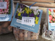 2 packs of Dahlia, Asiatic Lily or Gladioli bulbs.