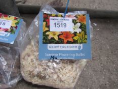 2 packs of Dahlia, Asiatic Lily or Gladioli bulbs.