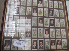 2 framed and glazed collections of Cricketers cigarette cards together with quantity of unframed