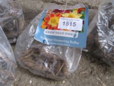 2 packs of Dahlia, Asiatic Lily or Gladioli bulbs.