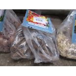 2 packs of Dahlia, Asiatic Lily or Gladioli bulbs.