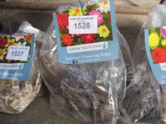 2 packs of Dahlia, Asiatic Lily or Gladioli bulbs.