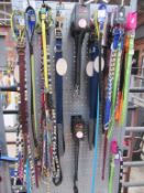 Quantity of dog leads together with display stand.