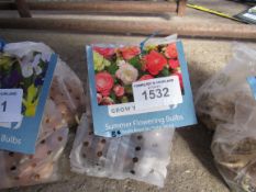 2 packs of Dahlia, Asiatic Lily or Gladioli bulbs.