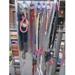 Quantity of dog leads together with display stand.