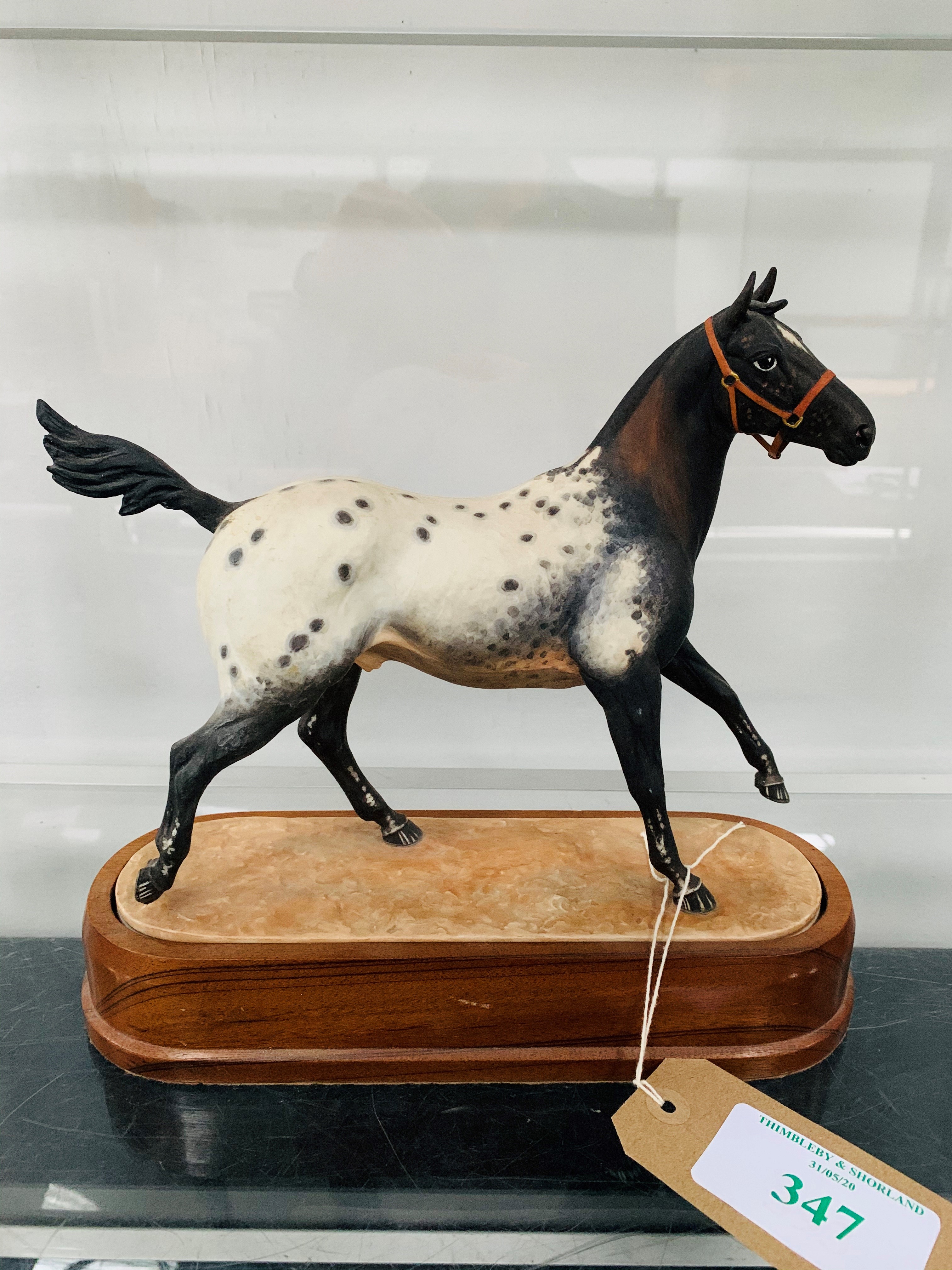 Royal Worcester Appaloosa Stallion RW3869 dated 1969, limited edition of 750 by Doris Lindner. - Image 2 of 2