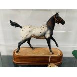 Royal Worcester Appaloosa Stallion RW3869 dated 1969, limited edition of 750 by Doris Lindner.