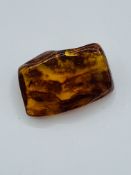 Piece of insect amber.