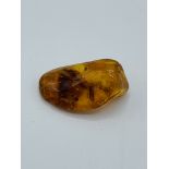 Piece of insect amber.