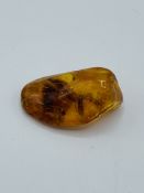 Piece of insect amber.