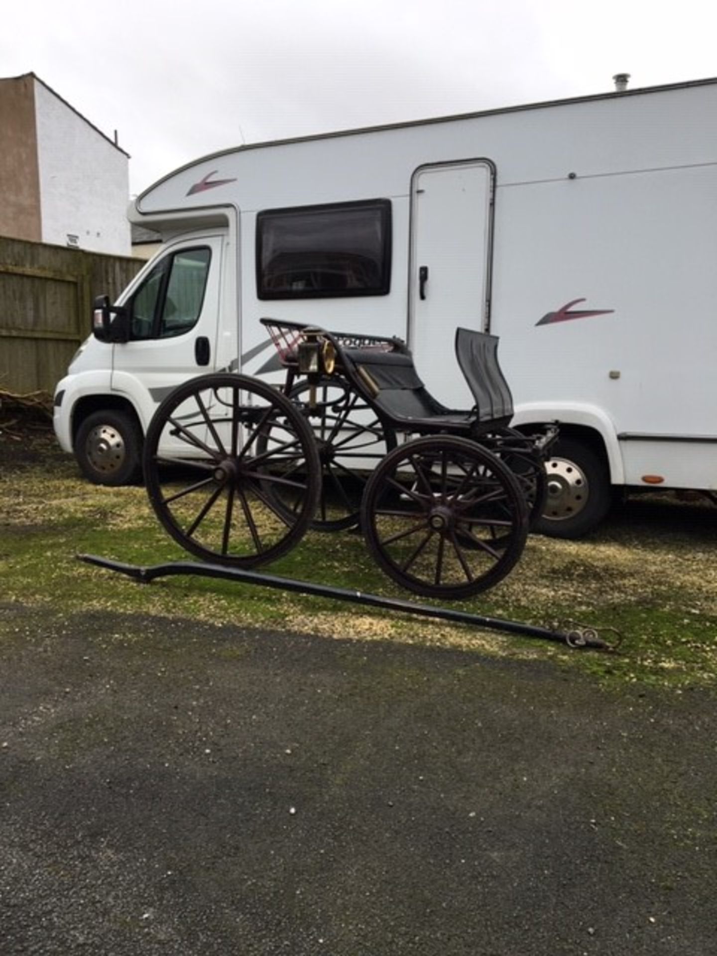 SPIDER PHAETON to suit 12 to 13hh pony. Painted black, on 12-spoke wheels with brass hub caps and e