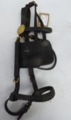 Cob driving bridle