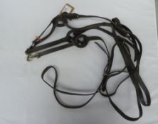 Two sets of donut side reins