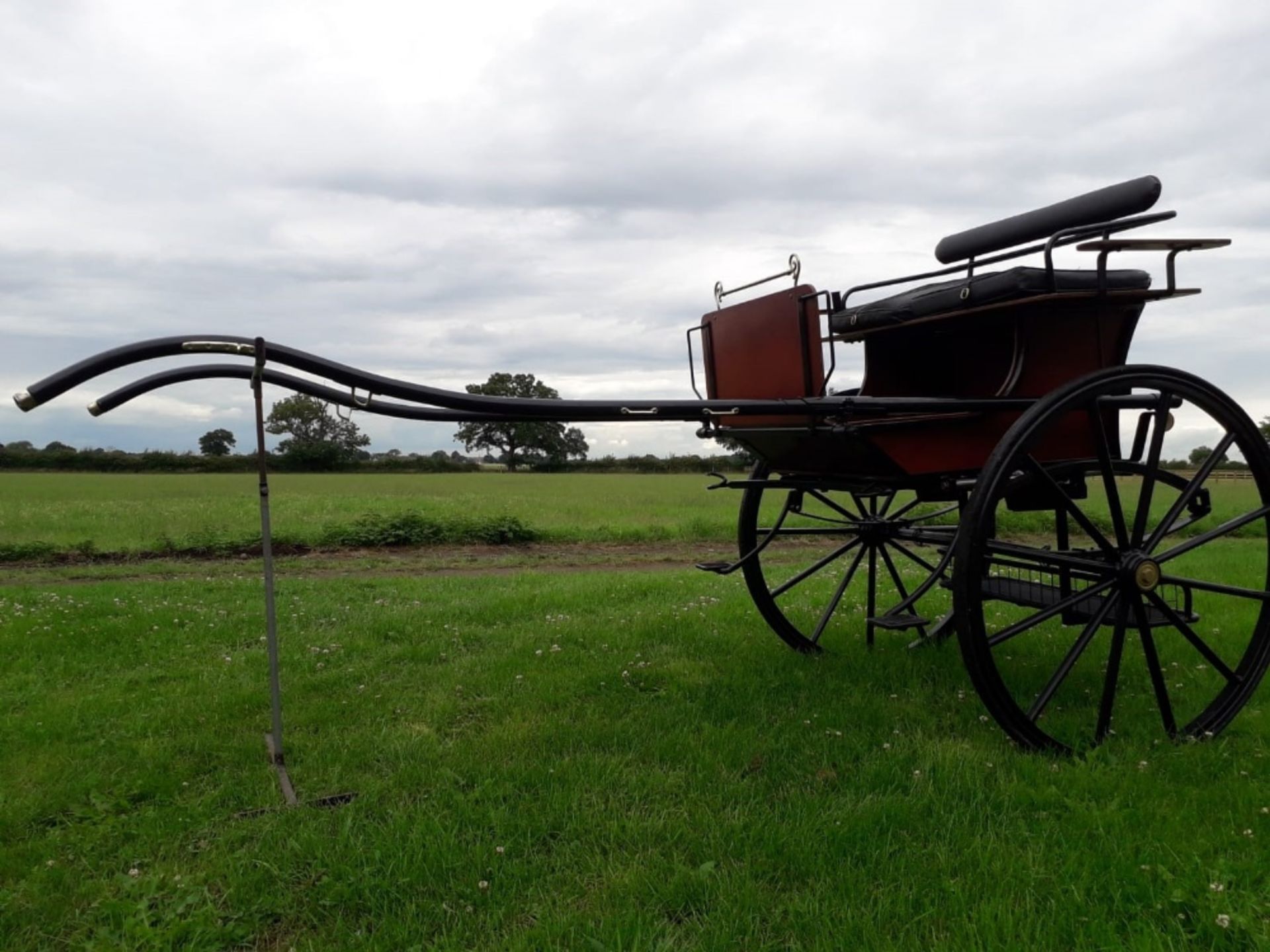 BENNINGTON BACK STEP, to suit 14.1 to 15.1hh. In immaculate condition, painted black with natural v - Image 4 of 4