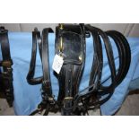 Set of black leather cob harness with brass fittings; no noseband nor buckle on breastplate