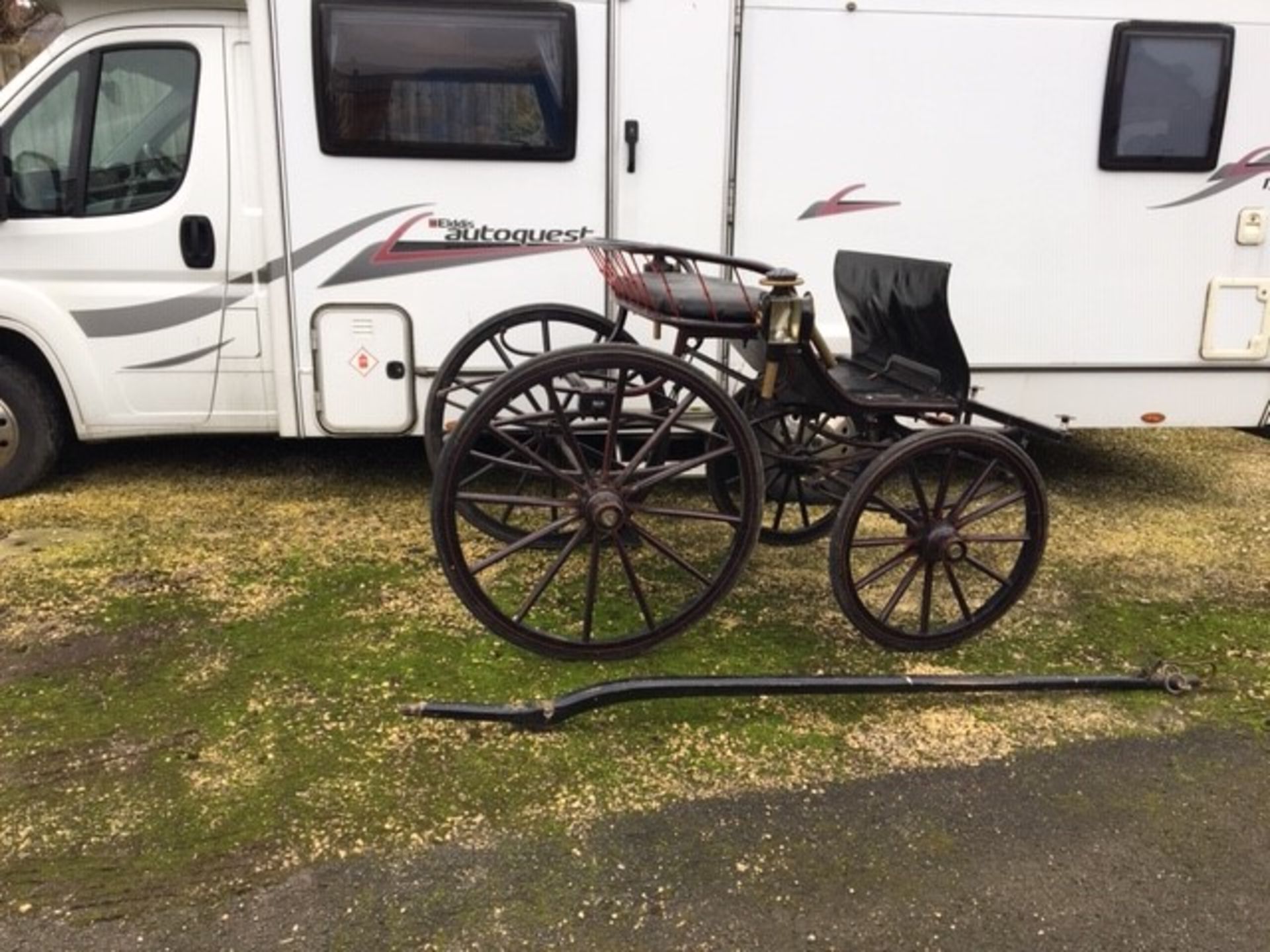 SPIDER PHAETON to suit 12 to 13hh pony. Painted black, on 12-spoke wheels with brass hub caps and e - Image 2 of 3