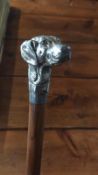 Victorian Malacca cane with whitemetal top depicting the head of a hound