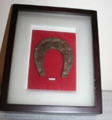 Medieval horseshoe in a glass display case