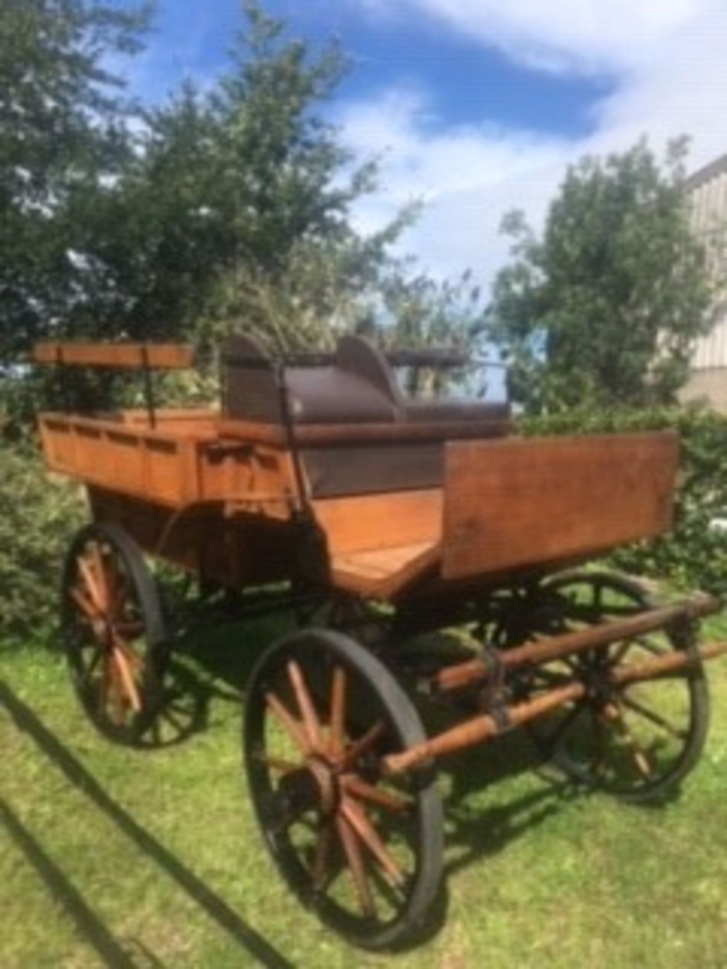 WAGONETTE believed to be of French origin, circa 1900's; to suit 13.2 pair or 15.2hh single.