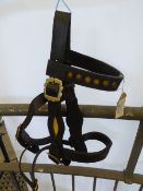 In-hand Shire bridle with yellow inserts - carries VAT