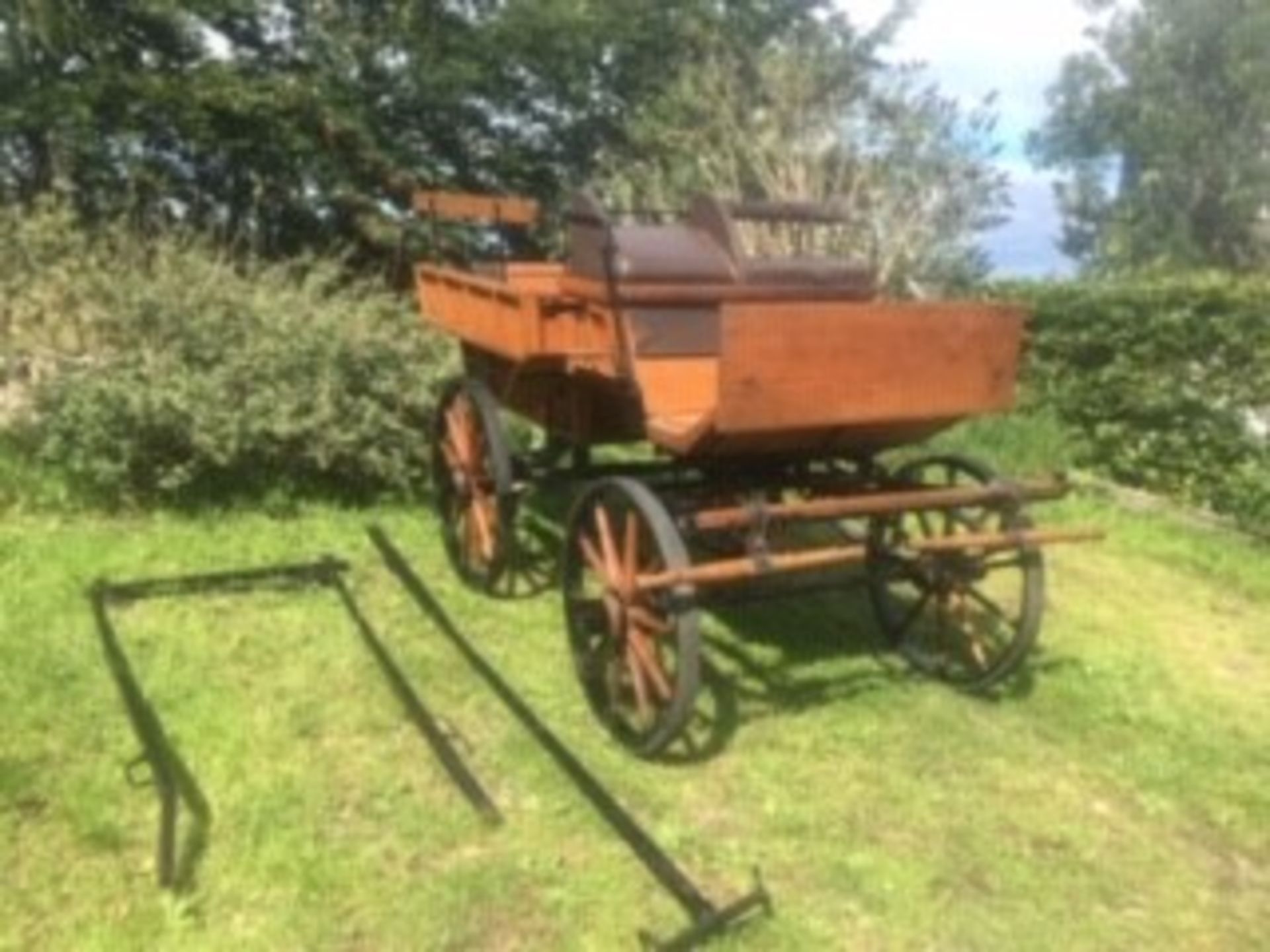 WAGONETTE believed to be of French origin, circa 1900's; to suit 13.2 pair or 15.2hh single. - Image 6 of 6